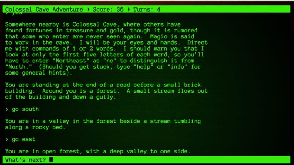 Colossal Cave Adventure - Captura 5