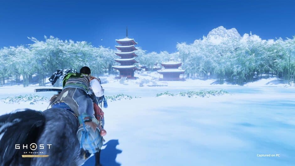 Ghost of Tsushima: Director's Cut - Captura 4