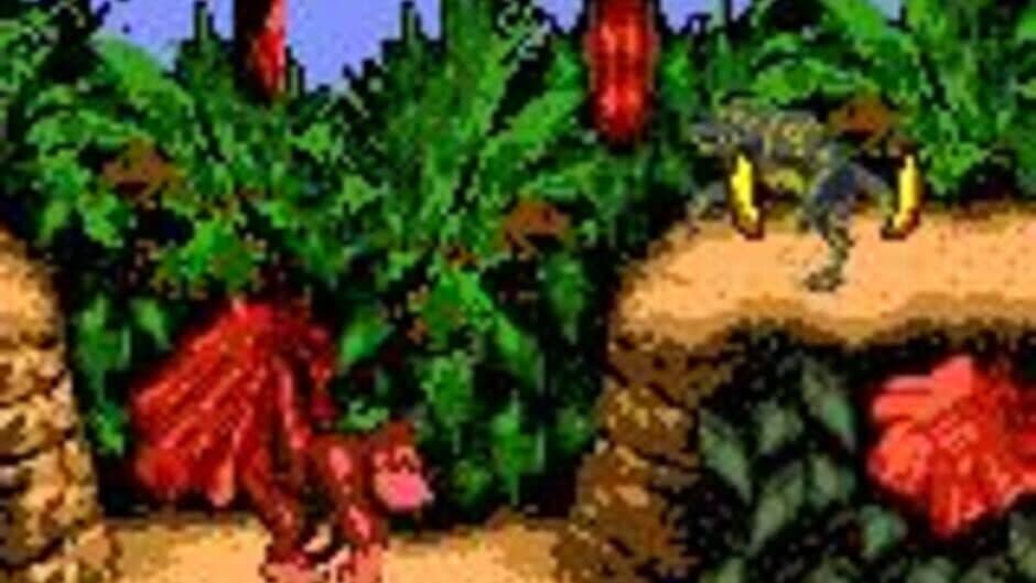 Donkey Kong Country - Captura 7