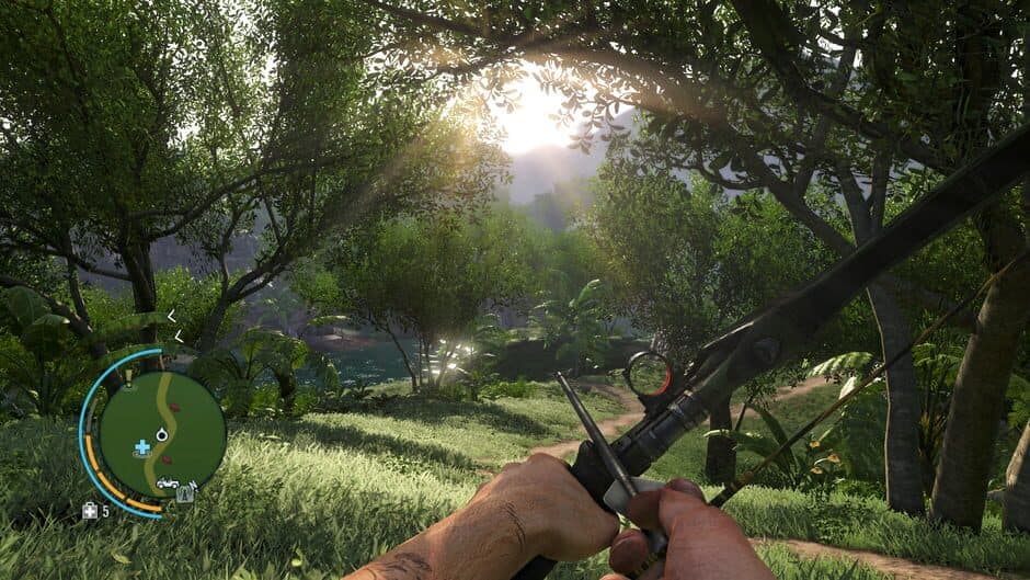 Far Cry 3 - Captura 11