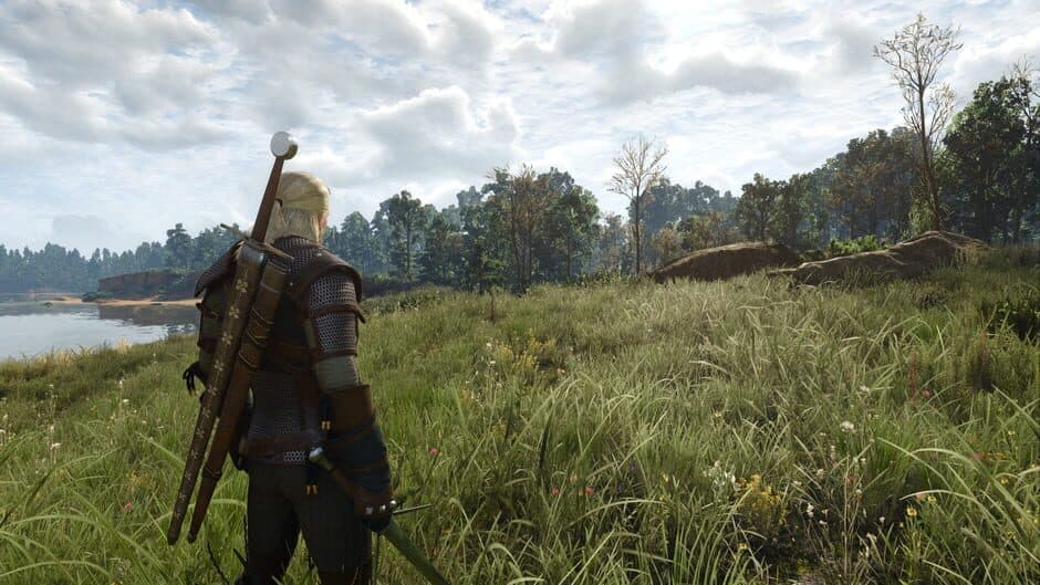 The Witcher 3: Wild Hunt - Captura 27