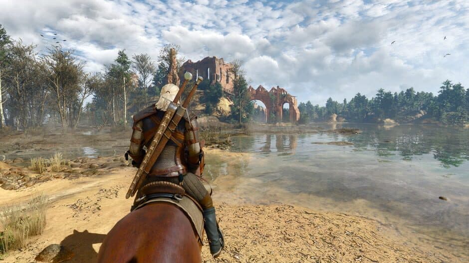 The Witcher 3: Wild Hunt - Captura 28