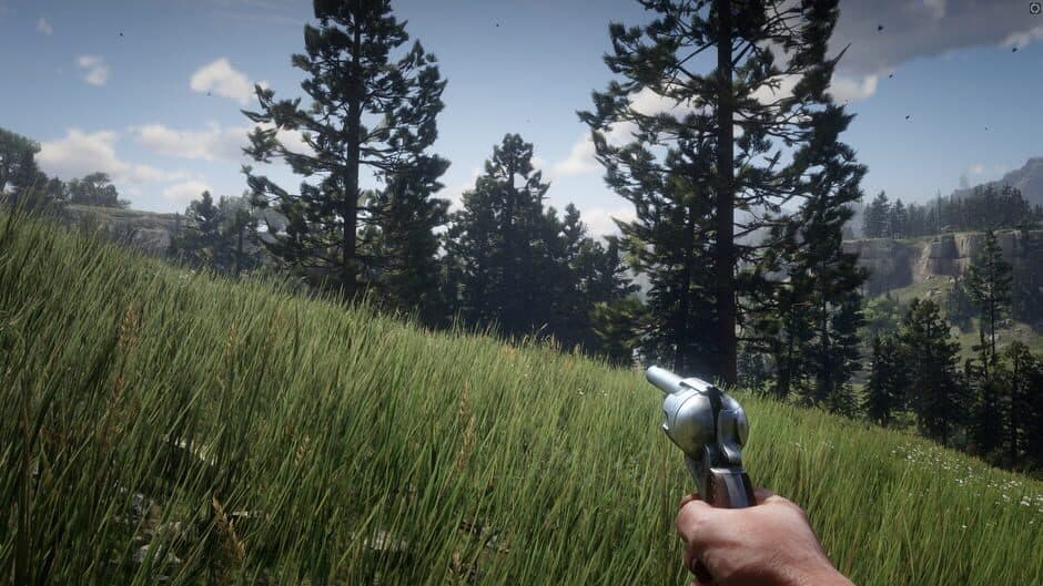Red Dead Redemption 2 - Captura 18