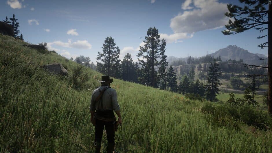 Red Dead Redemption 2 - Captura 19