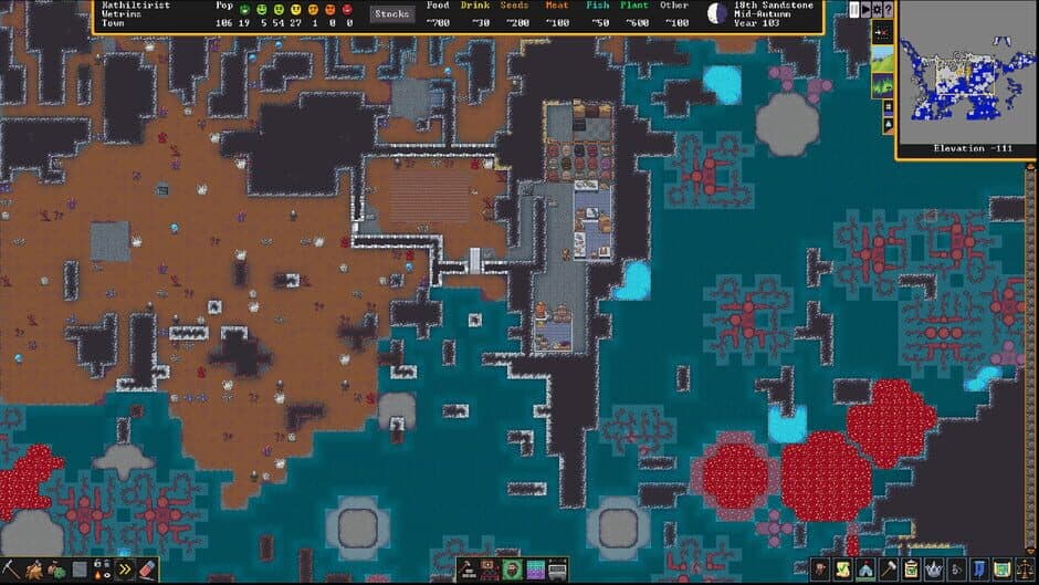 Dwarf Fortress - Captura 9