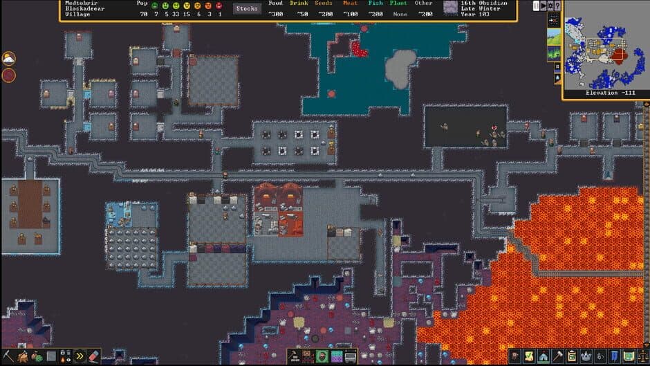 Dwarf Fortress - Captura 11