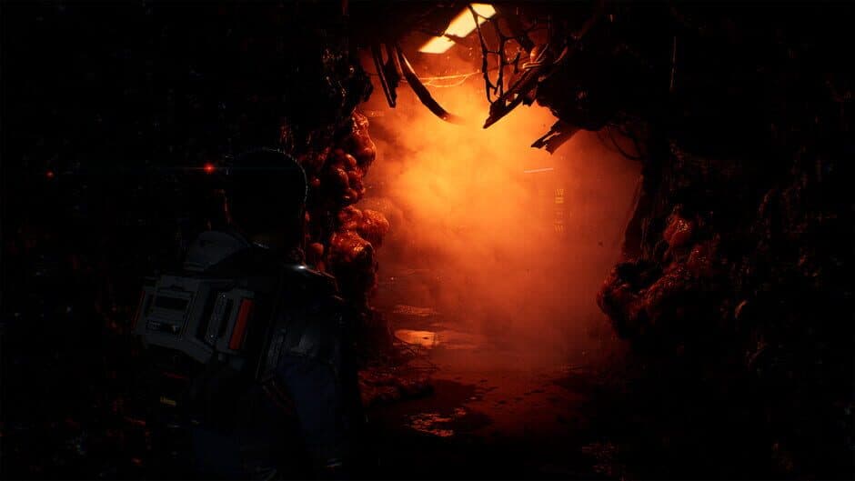 Directive 8020 - Captura 15