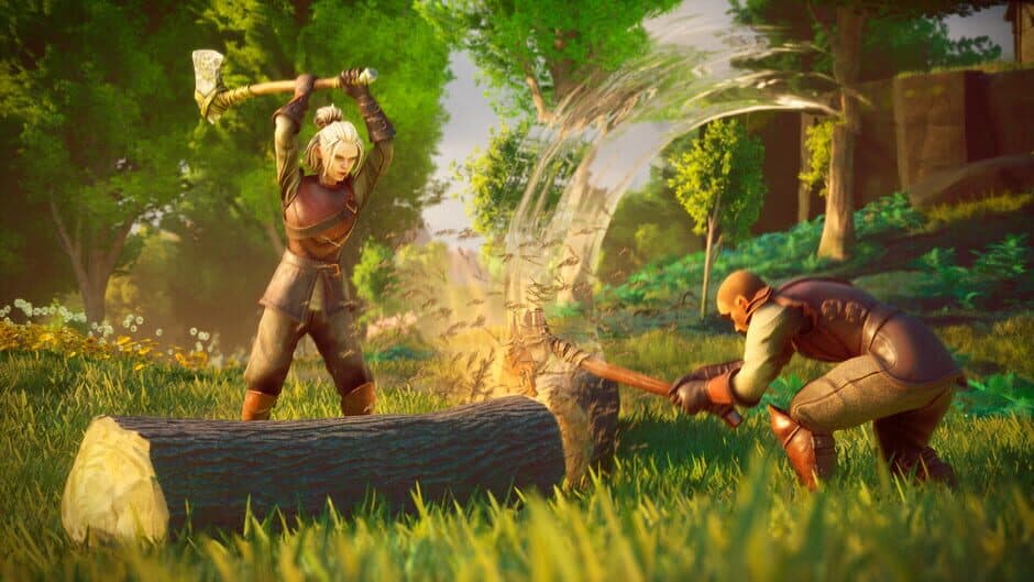 RuneScape: Dragonwilds - Captura 12