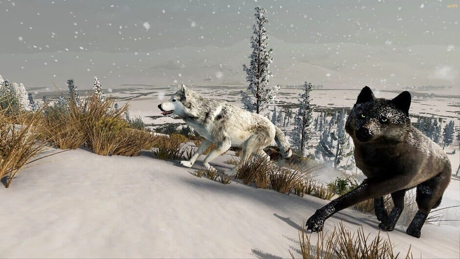WolfQuest: Anniversary Edition - Captura 9