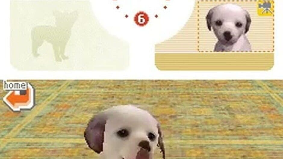 Nintendogs: Dalmatian & Friends - Captura 3