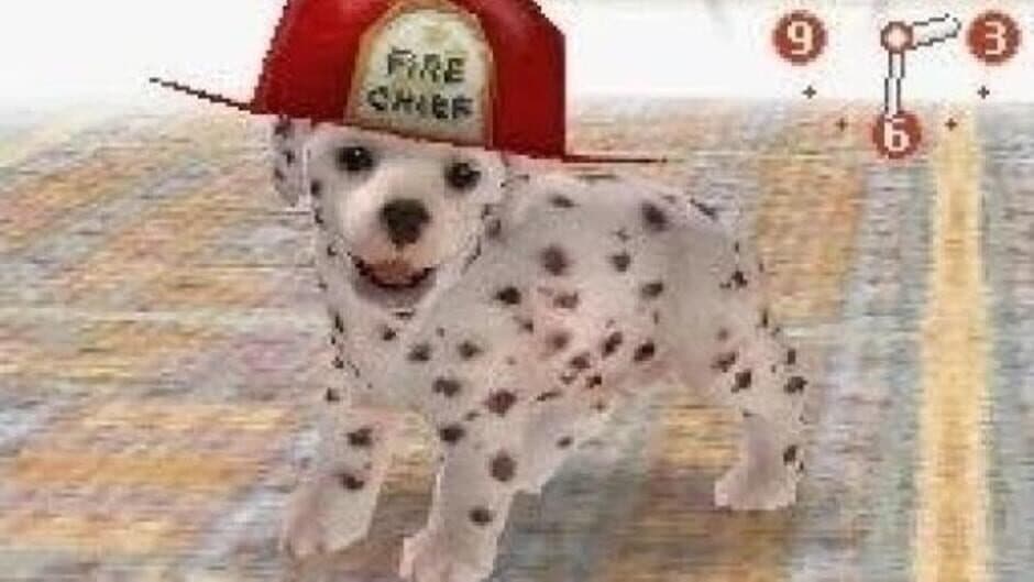 Nintendogs: Dalmatian & Friends - Captura 4