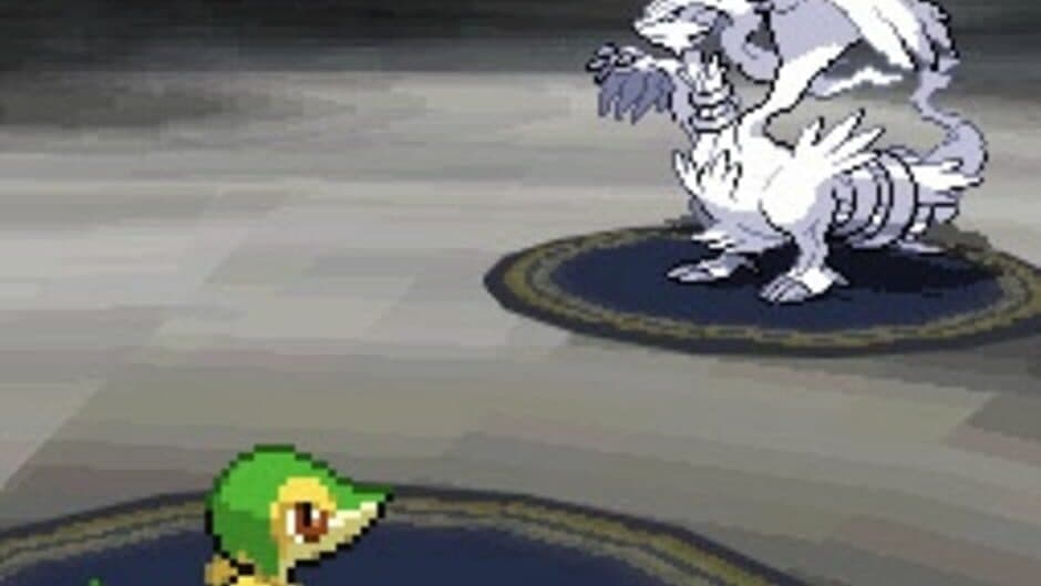 Pokémon Black Version - Captura 16