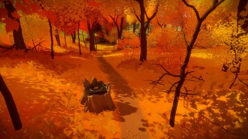 The Witness - Captura 1