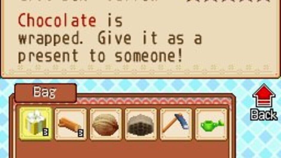 Harvest Moon DS: Grand Bazaar - Captura 1