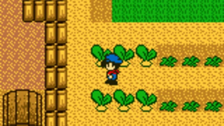 Harvest Moon GB - Captura 7