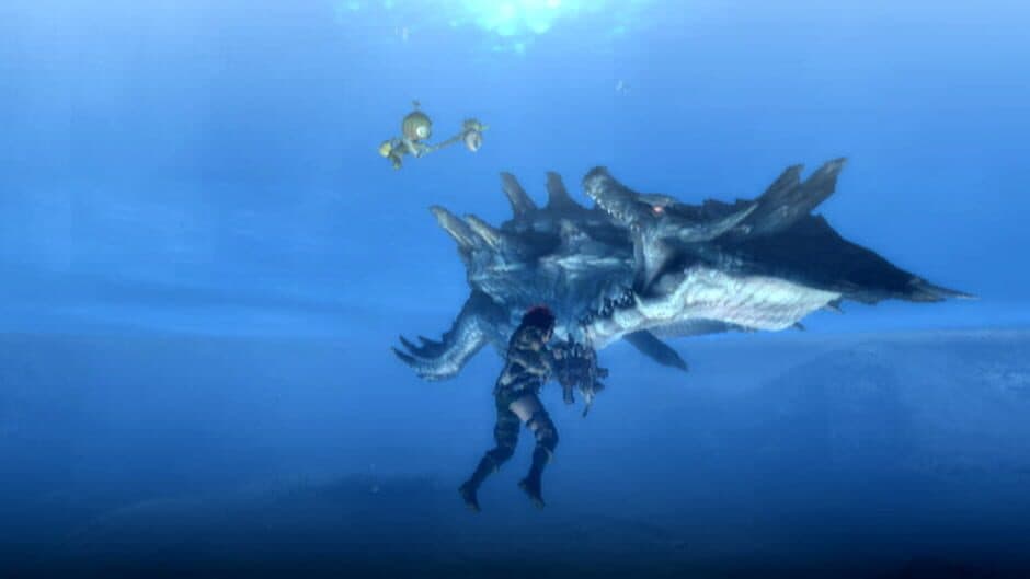 Monster Hunter Tri - Captura 6