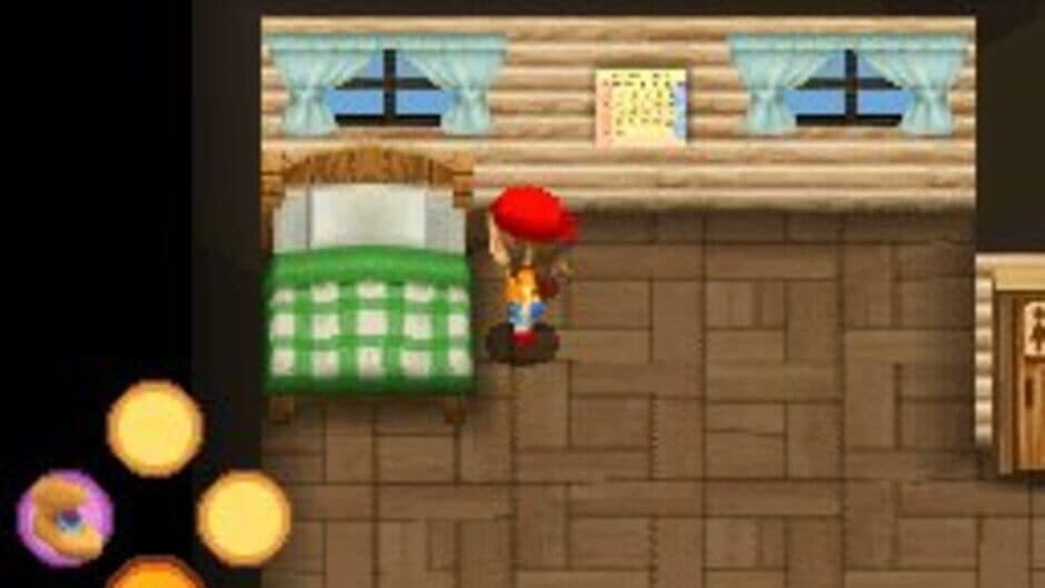 Harvest Moon DS: Sunshine Islands - Captura 3