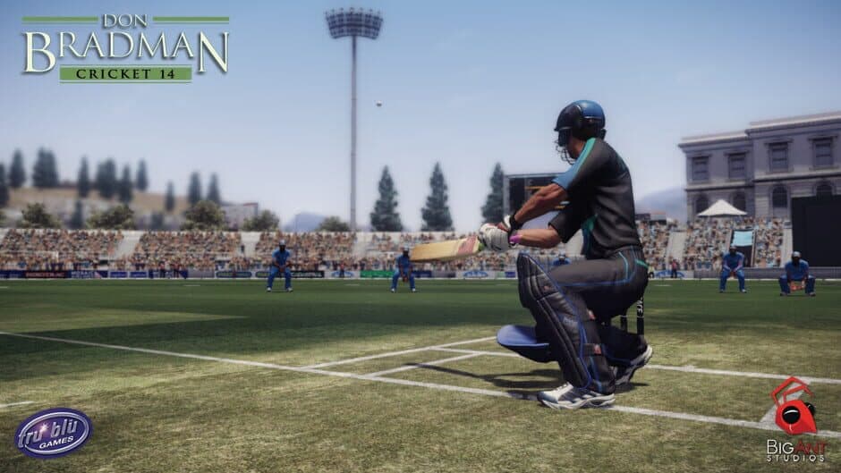Don Bradman Cricket 14 - Captura 3