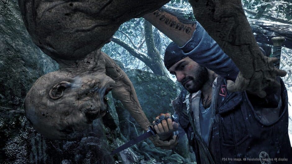 Days Gone - Captura 13