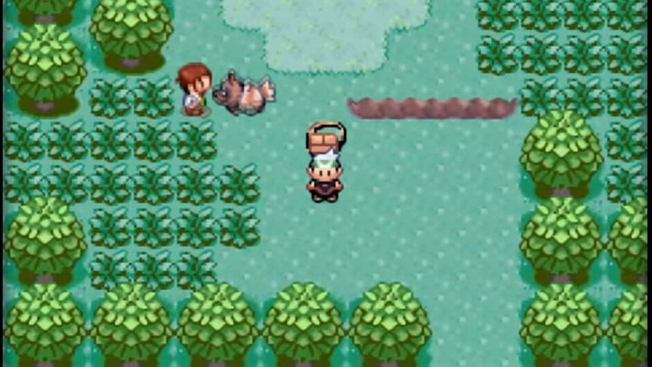 Pokémon Emerald Version - Captura 2