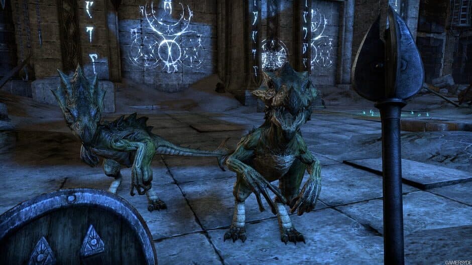 The Elder Scrolls Online - Captura 22