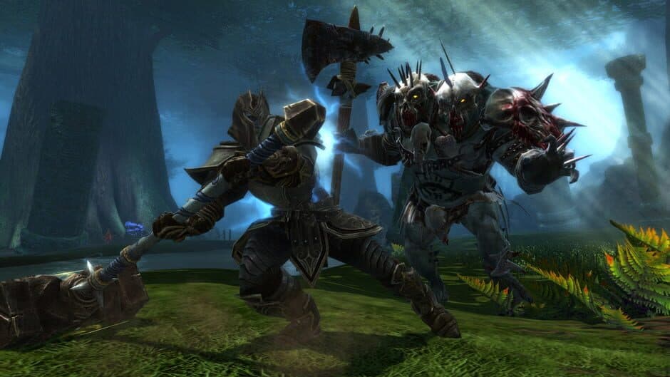 Kingdoms of Amalur: Reckoning - Captura 5