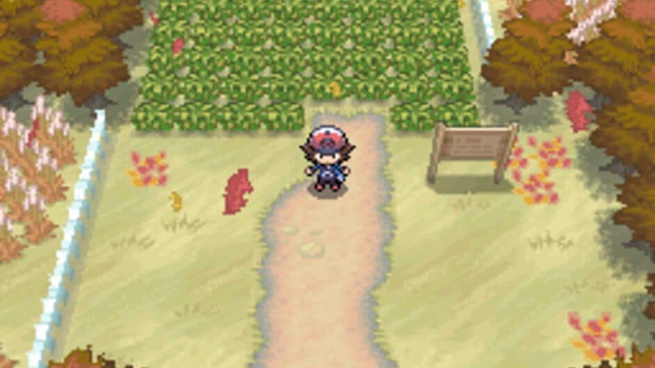 Pokémon Black Version - Captura 4
