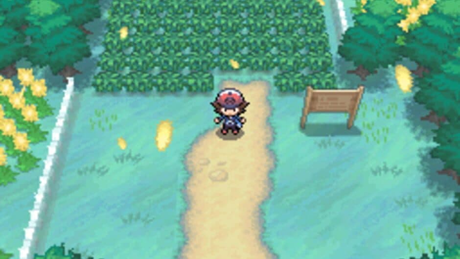 Pokémon Black Version - Captura 9