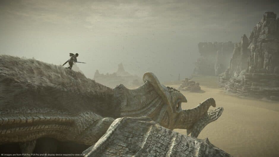 Shadow of the Colossus - Captura 11
