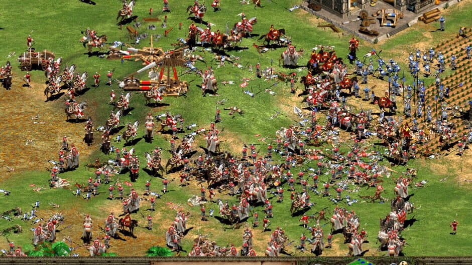 Age of Empires II: The Age of Kings - Captura 5