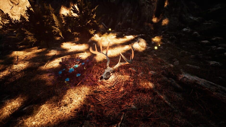 Nephise Begins - Captura 2