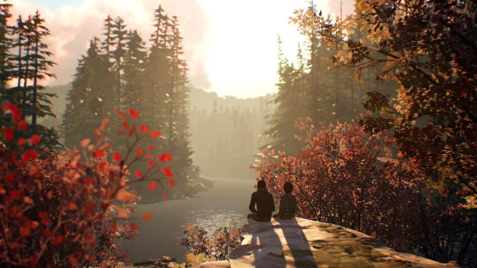 Life is Strange 2 - Captura 6