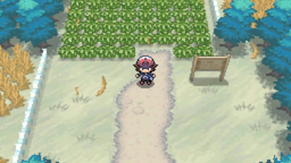 Pokémon Black Version - Captura 8