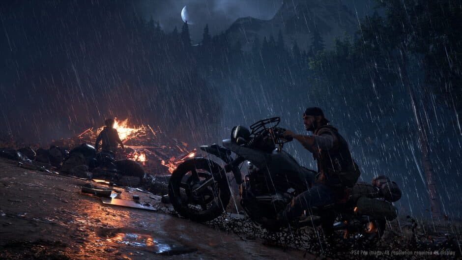 Days Gone - Captura 11