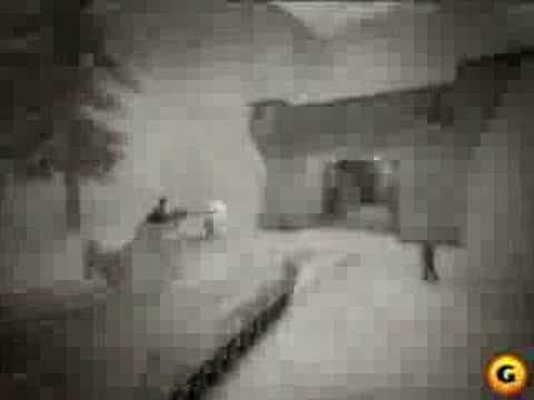 Trailer 1