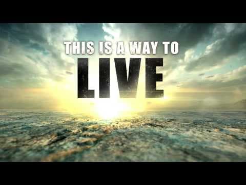 Trailer 6