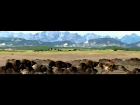 Trailer 1
