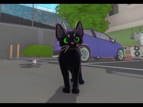 Trailer 6
