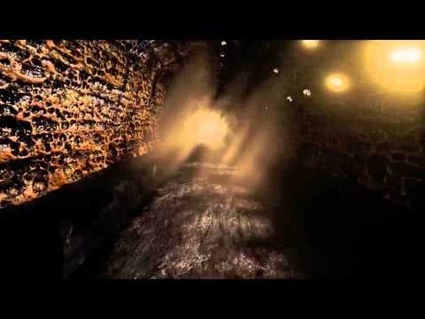 Trailer 5