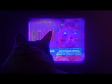 Trailer 7