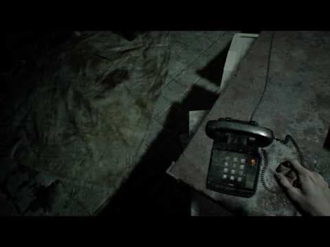 Trailer 11