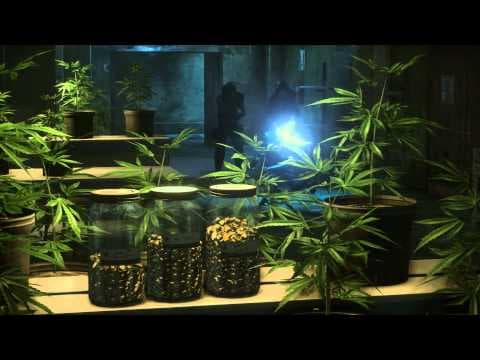 Trailer 1