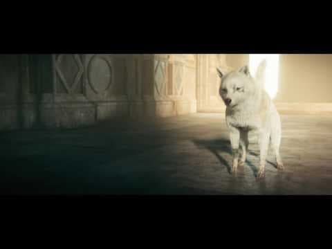 Trailer 7
