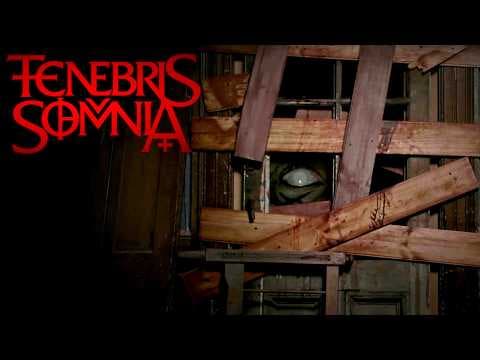 Trailer 9