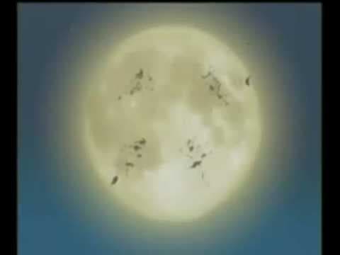 Trailer 1
