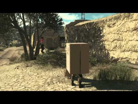 Trailer 6