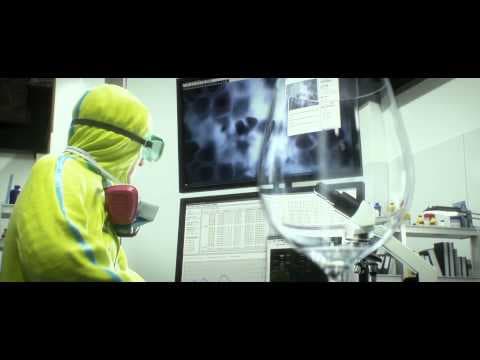 Trailer 6