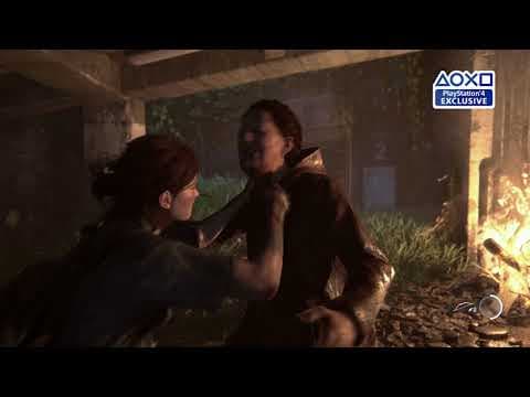 Trailer 8
