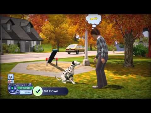 Trailer 4