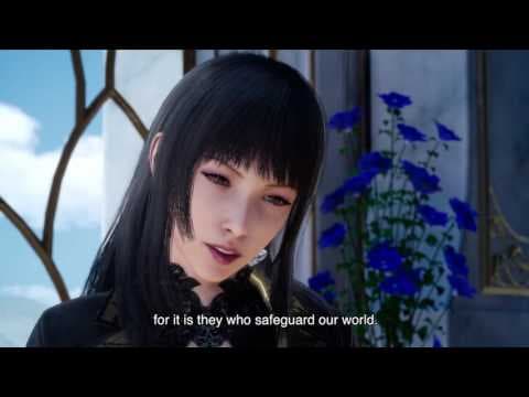Trailer 6